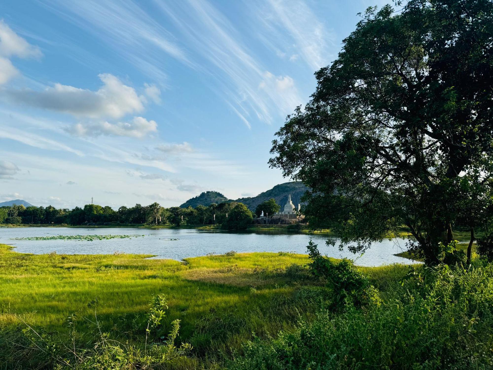The Green Edge Dambulla Esterno foto