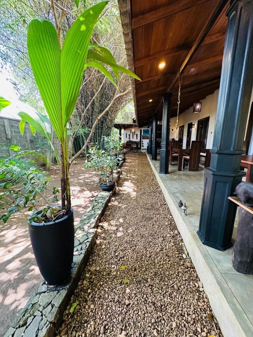 The Green Edge Dambulla Esterno foto